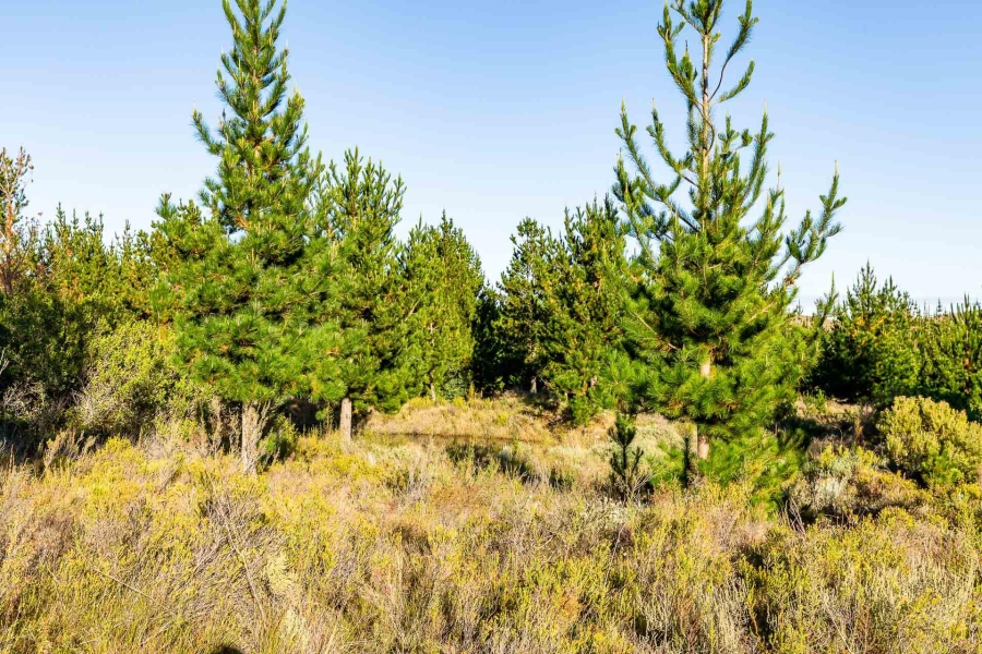 0 Bedroom Property for Sale in Heidelberg Rural Western Cape